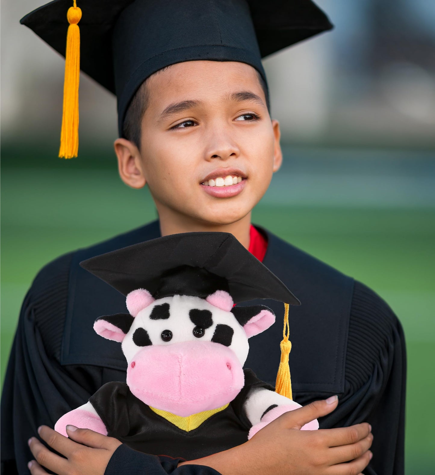 DolliBu Cow Graduation Plush Toy - Soft Huggable Graduation Stuffed Animal Dress Up with Gown and Cap with Tassel Outfit - Cute Graduation Gift