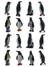 ORZIZRO 16Pcs Plastic Penguin Figurines, Cute Ocean Animal Penguin Figure Model Toys for Kids Children - Realistic & Detailed