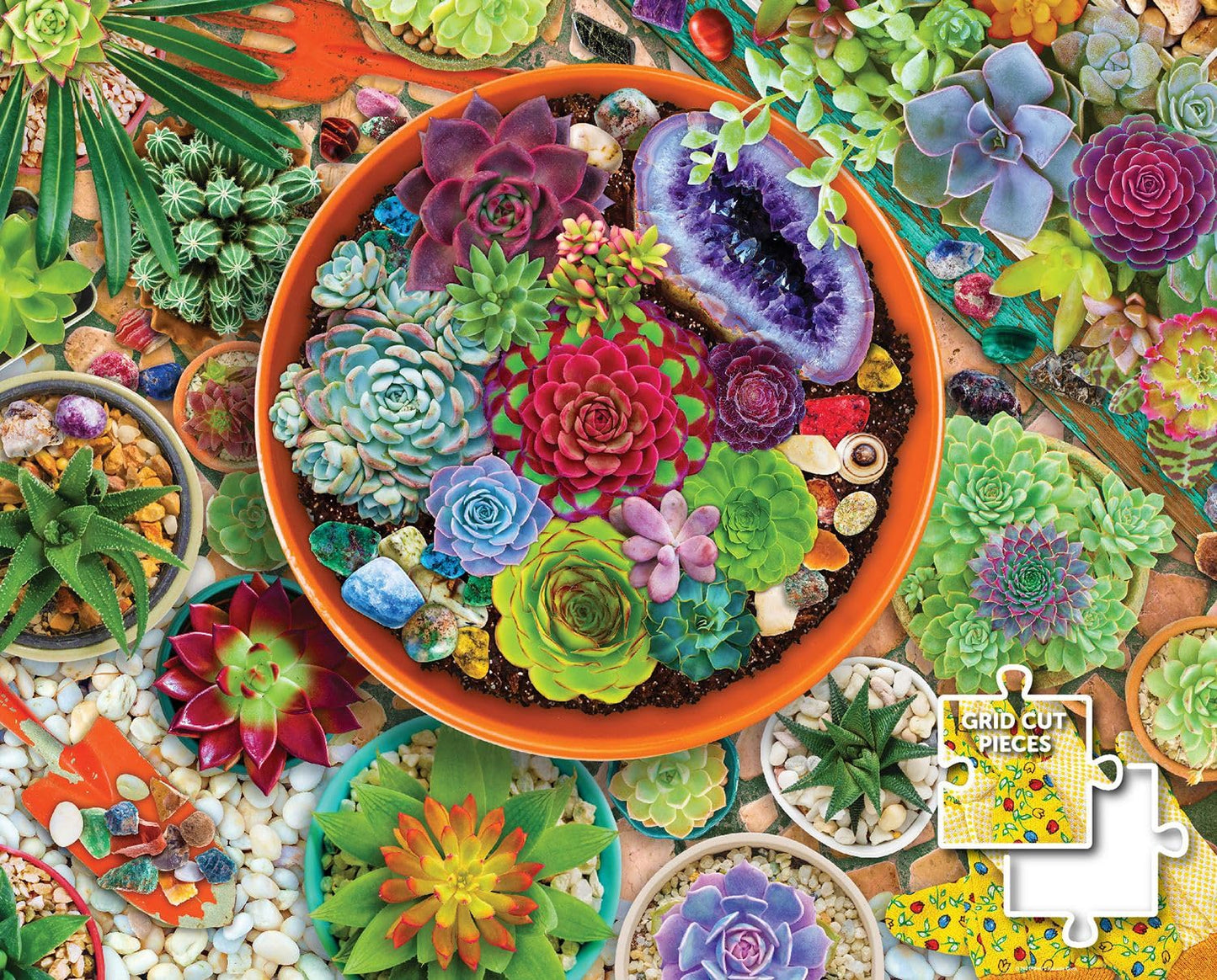 Springbok's 1000 Piece Jigsaw Puzzle Succulent Garden - Made in USA