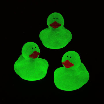 Fun Express Glow-in-the-Dark Rubber Ducks VBS 2026-12 Pc