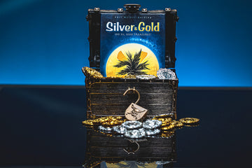 Silver & Gold Card Game - Flip & Write Strategy for Kids & Adults, 2-4 Players, 20 Min Playtime by Pandasaurus Games