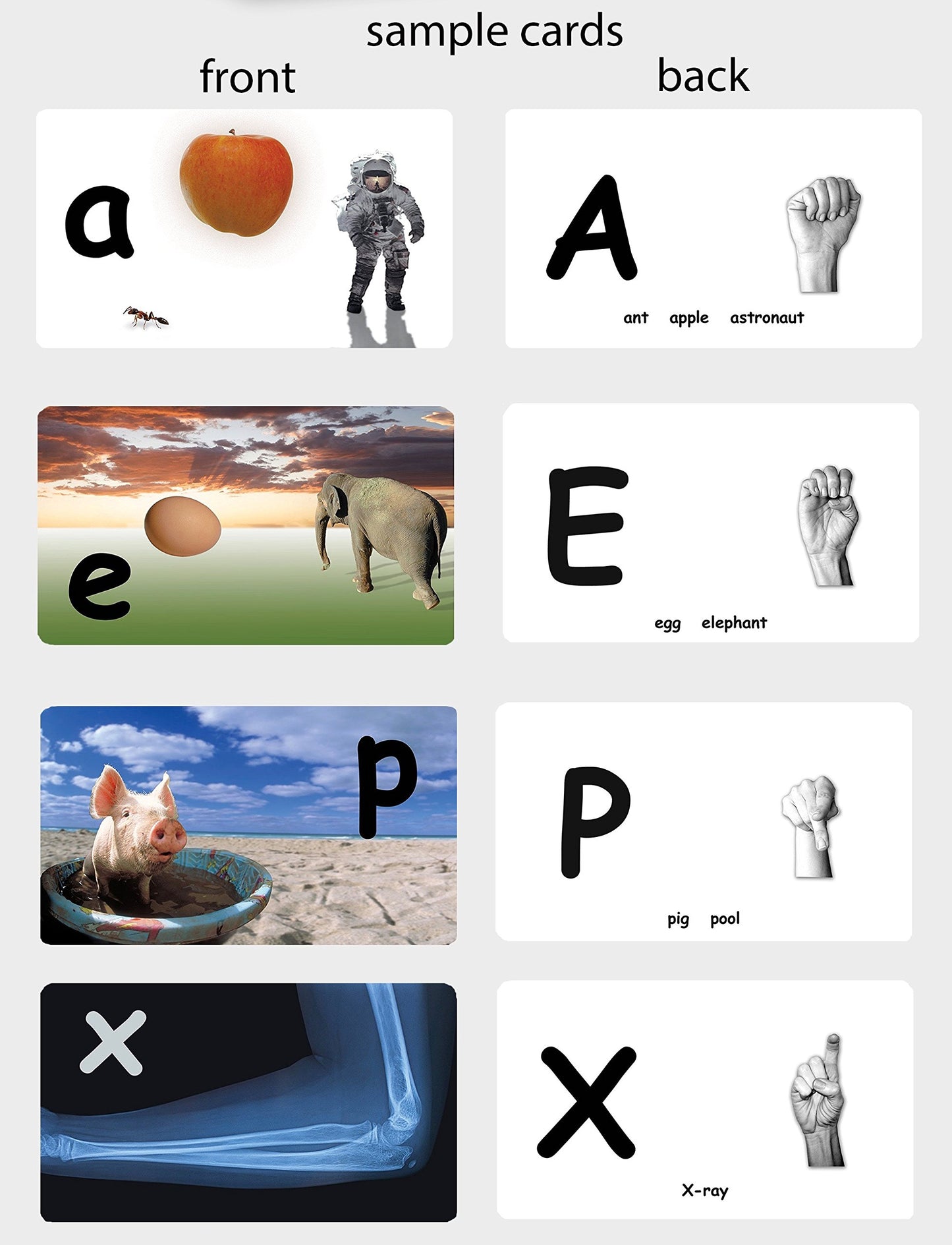 Flash of Brilliance New ABC Cards with American Sign Language
