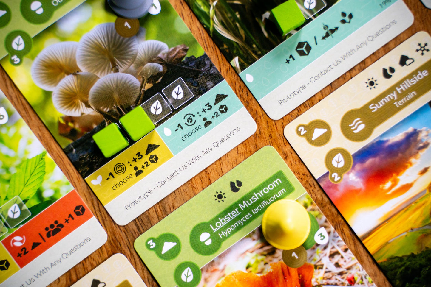Inside Up Games Earth: Abundance Expansion | Board Game Expansion | Ecosystem Building, Card Drafting, Action Selection | 1 to 6 Players | 45-90