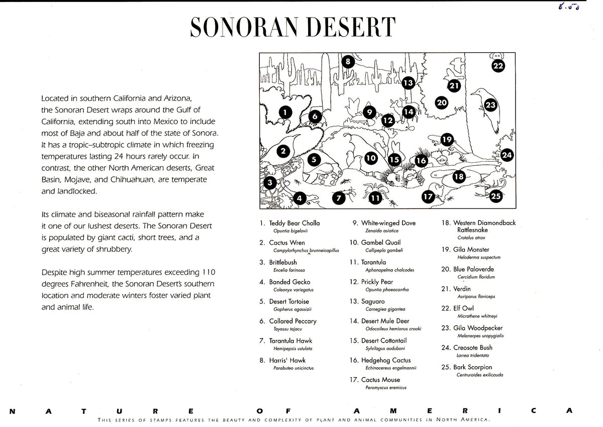 Postage Stamp US Scott 3293 Sonoran Desert Full Sheet of Ten 33 Cent Stamps