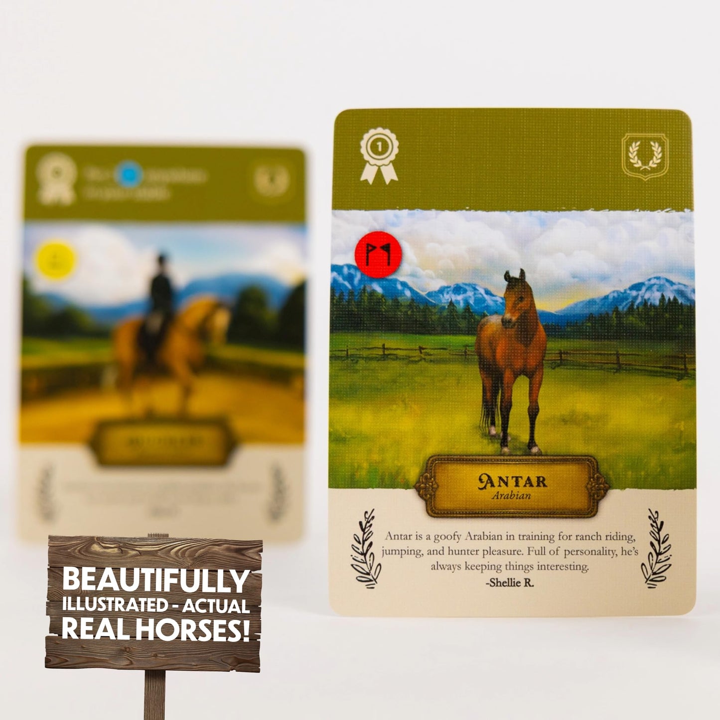 Lovemore Games Stable Times Family Card Game - Cozy Board Game for Kids and Adults with Real Unique Horses - Great for Family Game Night, Ages 8+, 1-5