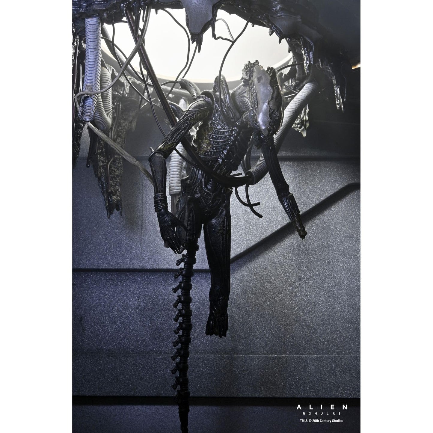 Alien: Romulus - Deluxe Suspended Lab Xenomorph XX121 7" Scale Action Figure (PRE-ORDER)