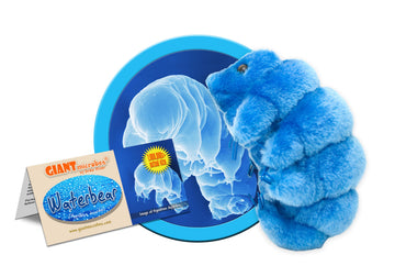 GIANT MICROBES Tardigrade Plush, Waterbear Plush Toy, Biology Gifts, Science Gift, Tardigrade Gifts, Marine Biologist, STEM Toys, Laboratory Decor