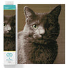 DIAMOND DOTZ Smokey Cat Diamond Painting Kits for Adults - Diamond Art Kits a Relaxing Creative Craft Kit with Dotz Gems 14.8"x11.8"