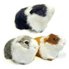 Basuo-9Q 3 Pcs Realistic Hamster Figurines Guinea Pig Plush Toys