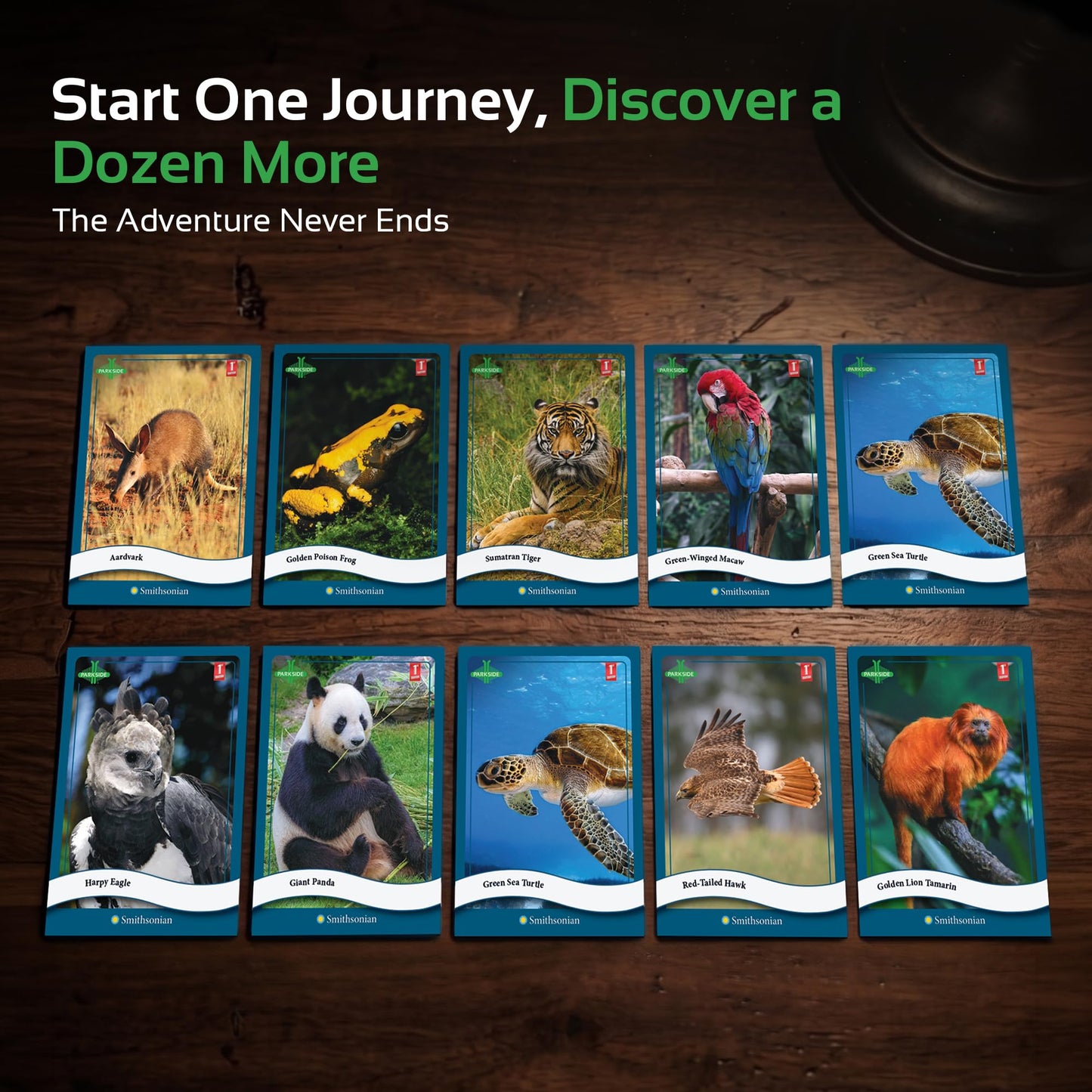 Parkside Curiosity Cards - Animal Kingdom Collectible Trading Cards - 50 Wildlife Flash Cards for Girls & Boys - STEM Learning Flashcards for Kids