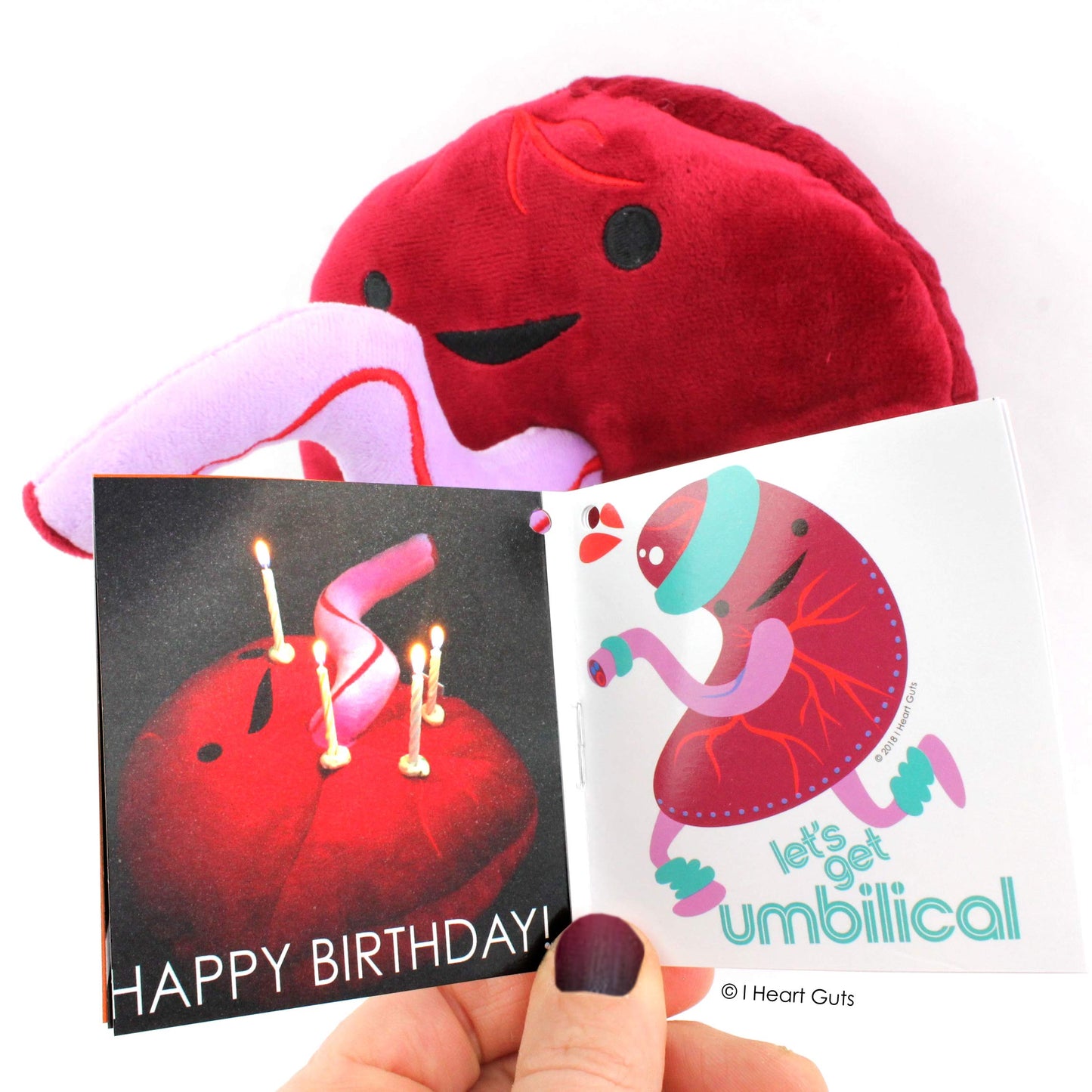 I Heart Guts Placenta Plush - Cute Educational Organ Toy for Childbirth & Postpartum - Funny Get Well Recovery Gift for Labor Delivery Nurse Patients