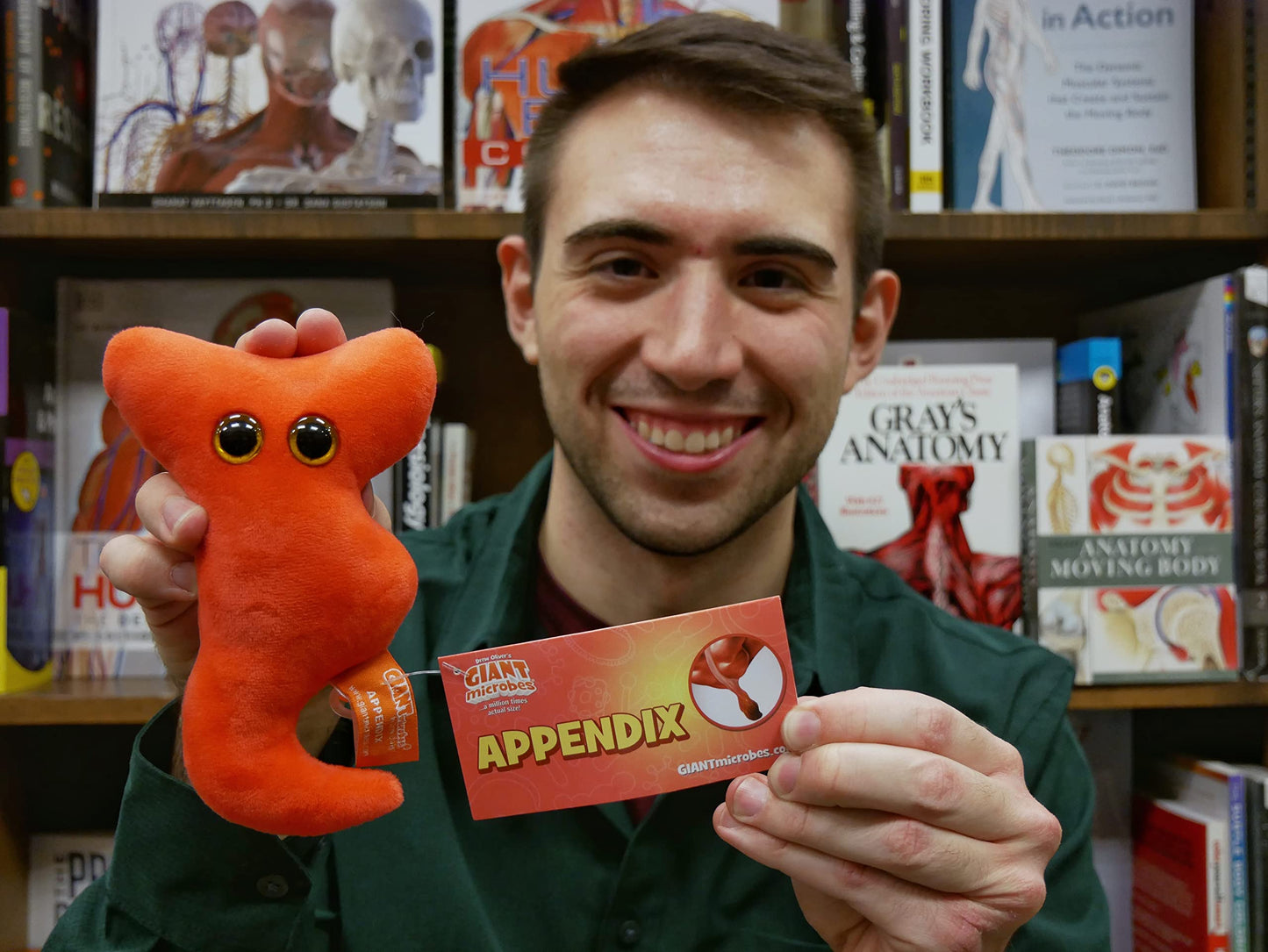 GIANT MICROBES Appendix Plush - 6" Organ Toy for Surgery Recovery Gift