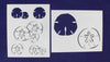 Sand Dollar Stencils 2 Piece Set 8 X 10 Inches