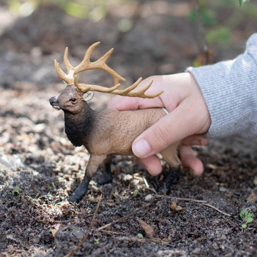 Safari Ltd. Elk Bull Figurine - Detailed 4.75" Plastic Model Figure - Fun Educational Play Toy for Boys, Girls & Kids Ages 3+
