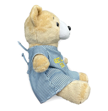 Ribble 9" Get Well Soon Bear with Hospital Gown and Wrist Tag - 9 Inches - Perfect for Comfort and Love