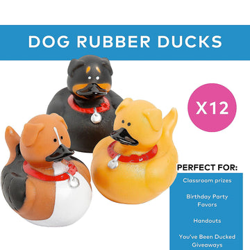 Fun Express Dog Mini Rubber Ducks in Bulk 12 Pack - Cute Rubber Ducks Party Favors for Kids Birthday Party Favors | Tiny Ducks Treasure Box Toys