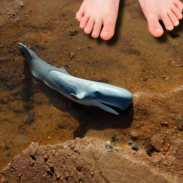 Safari Ltd. Sperm Whale Figurine - Detailed 8.5" Plastic Model Figure - Fun Educational Play Toy for Boys, Girls & Kids Ages 3+