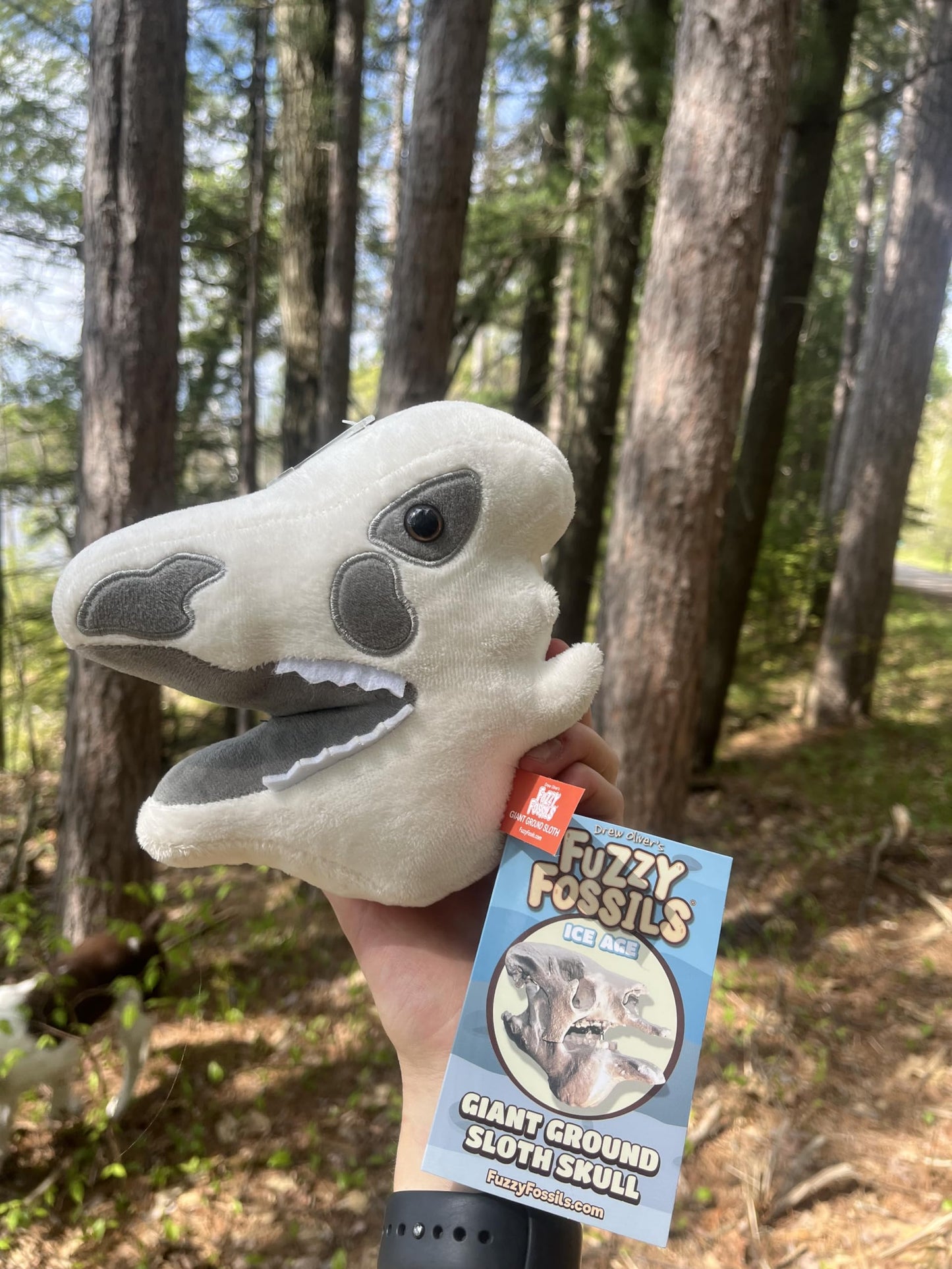 Fuzzy Fossils Sloth Stuffed Animal, Ground Sloth Plush, Sloth Toy, Ice Age Toys, Sloth Gifts, Dinosaur Pillow, Paleontologist Gifts, Prehistoric