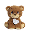 Aurora® Inspirational Precious Moments™ Charlie Bear Stuffed Animal - Cherished Memories - Enduring Comfort - Brown 8.5 Inches