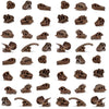 Safari Ltd. Dino Skulls Bulk Bag - Educational Set of Dinosaur Toy Skulls - 48 Piece Set for Boys, Girls & Kids Age 3+