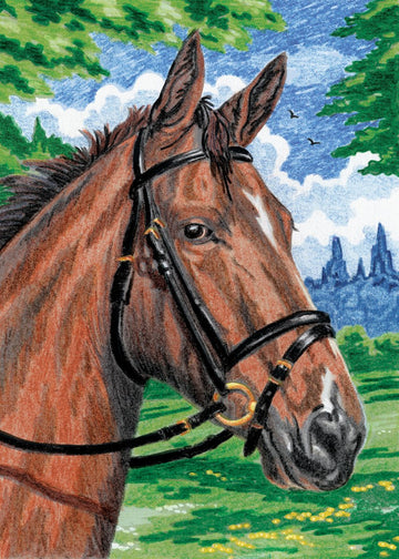 Royal & Langnickel Mini Colour Pencil By Number Kit: 5x7 Horse