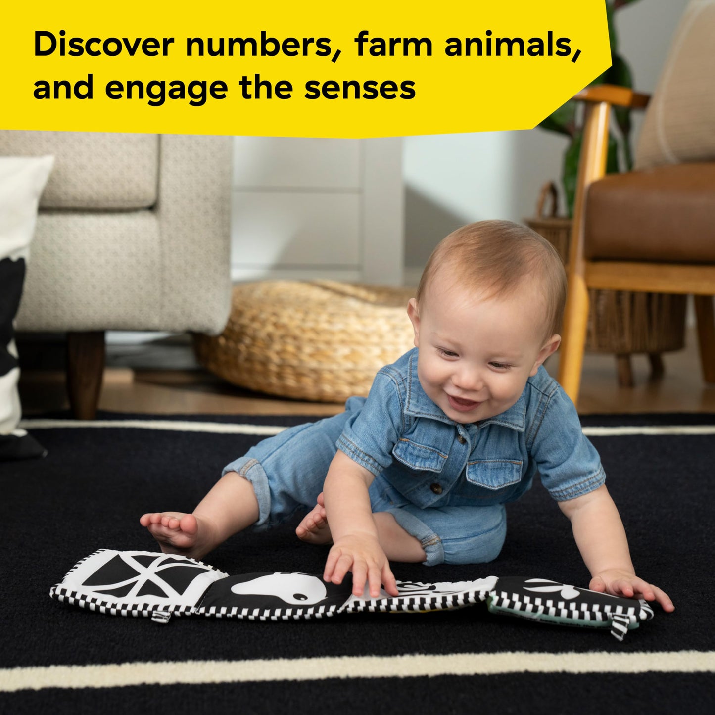 Baby Einstein Farm Explorers Counting at the Farm Soft Activity Book, Multisensory, for Tummy Time, Ages 0+ Months