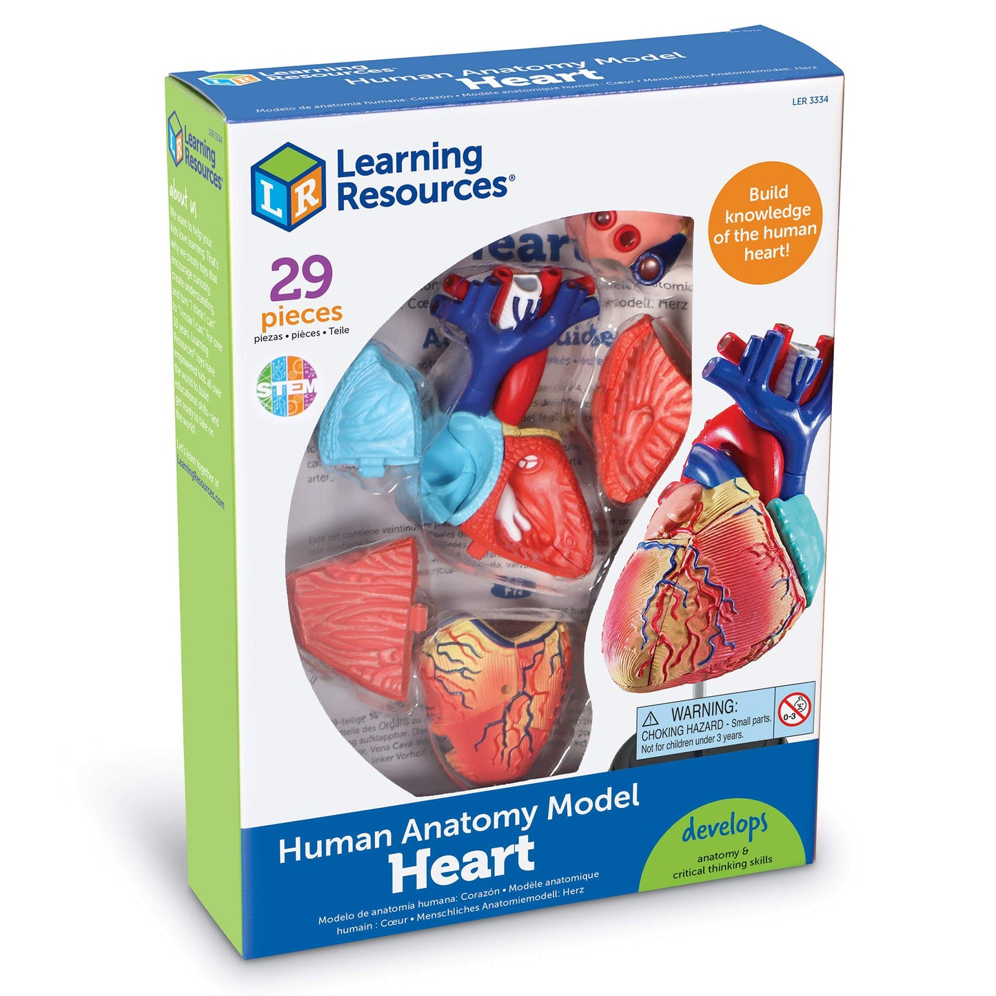 Learning Resources Human Heart Model, Anatomy and Science Classroom Must Haves, Body Model, STEM Study Tools, Back to School Kits, Homeschool Gifts