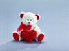 Happy Valentine's Day Bear 8" Animal Plush- White with Red Message Pillow