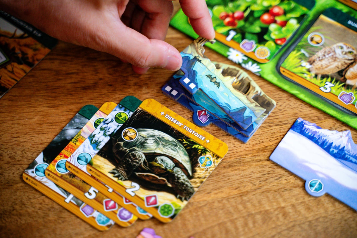 Rose Gauntlet Entertainment: Keystone North America, Ages 10+, 1-2 Players