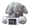 Cutest I'm Sorry Gift for Her & Him - Shy Baby Elephant - Embarrassed Adorable Super Soft Stuffed Animal Plush Toy - Unique Cute Forgive Me Apology