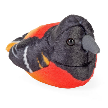 Oriole by Wild Republic