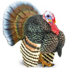 Safari Ltd. Domestic Turkey Figurine - Lifelike 3" Model Figure - Educational Toy for Boys, Girls, and Kids Ages 3+