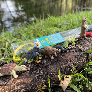 Safari Ltd. River Animals Bulk Bag - Set of Miniature River Toy Figures - 48 Piece Play Toys for Boys, Girls & Kids Age 3+
