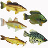 Toy Fish Factory American Angler Collection Toy Fish Set, Toy Fish Figurines, Largemouth Bass Catfish Bluegill Crappie Striper, Educational Toy, Fish