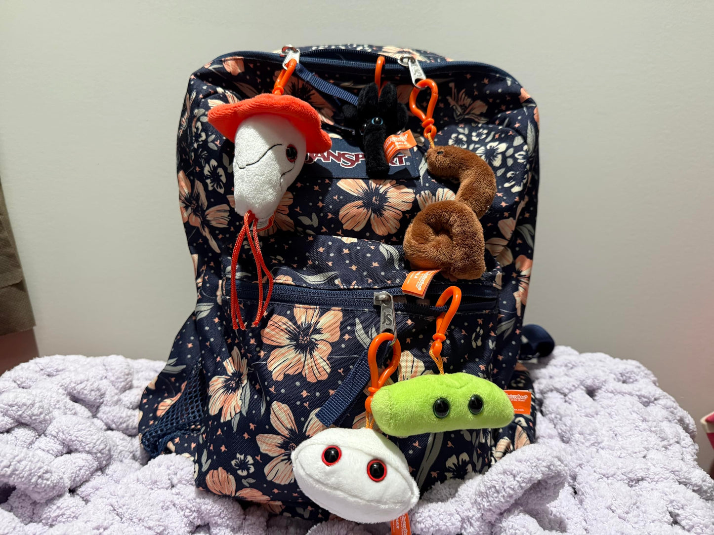 GIANTmicrobes Biohazards Gift Box, Microbiology Gifts, Medical Gag Gifts Funny, Doctor Gifts, Bacteria Plush, Virus Plush Toy, Plush Keychain