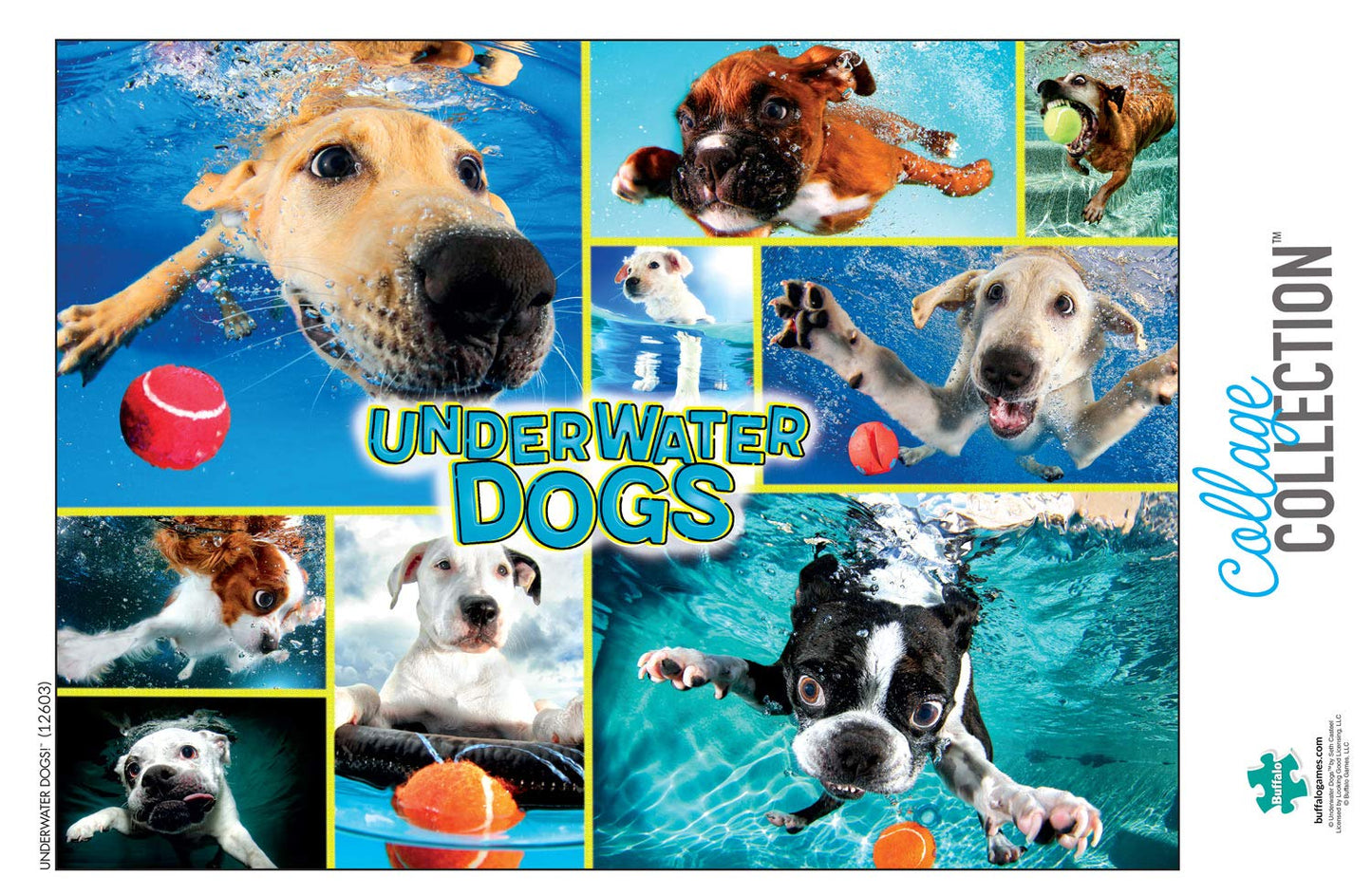 Buffalo Games - Underwater Dogs - 1000 Piece Jigsaw Puzzle