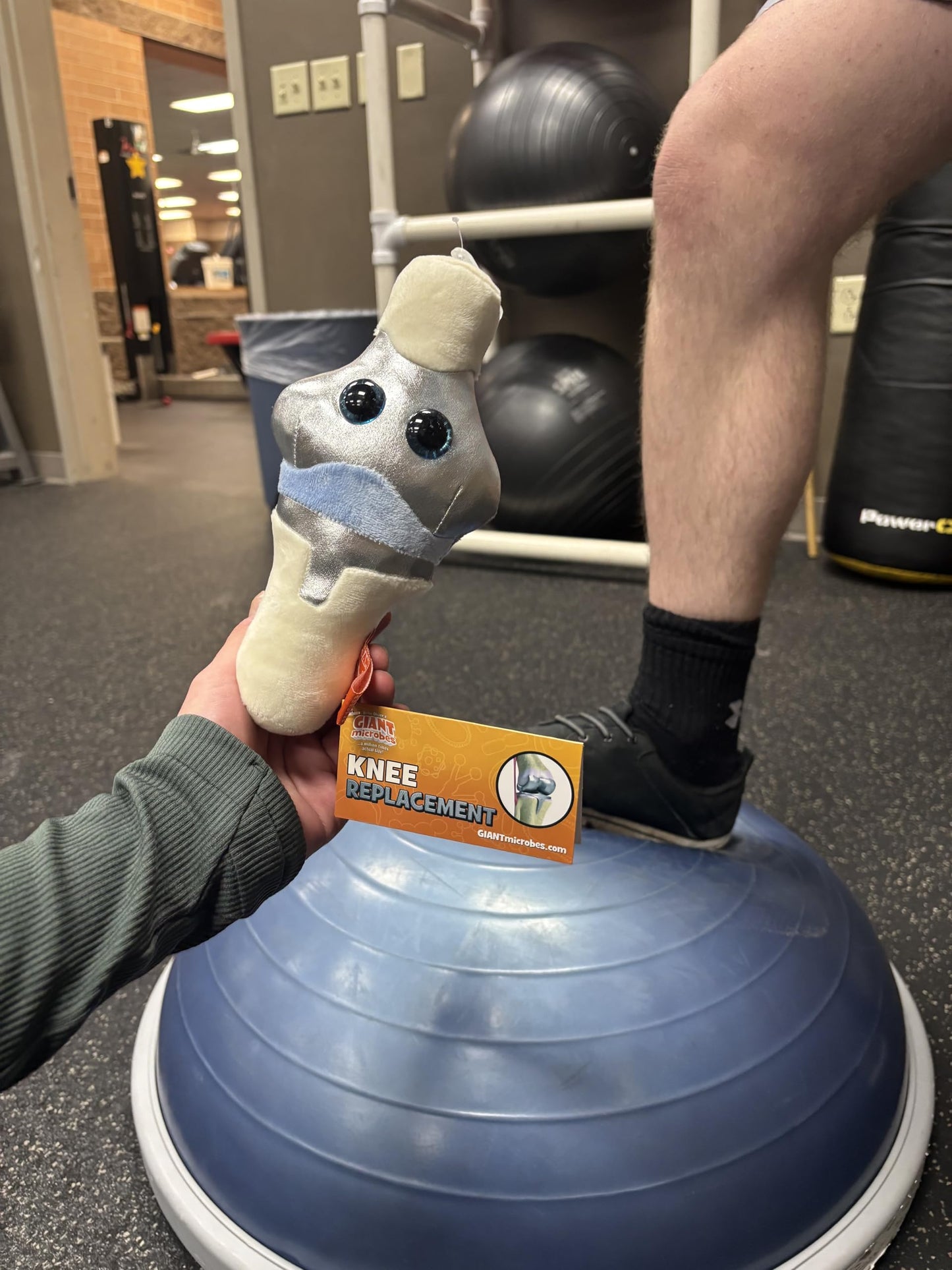 GIANT MICROBES Knee Replacement Plush, get Well Gift, Knee Replacement Gifts, Knee Injury, Chiropractor Gift, Orthopedic Surgeon Gifts, Physical