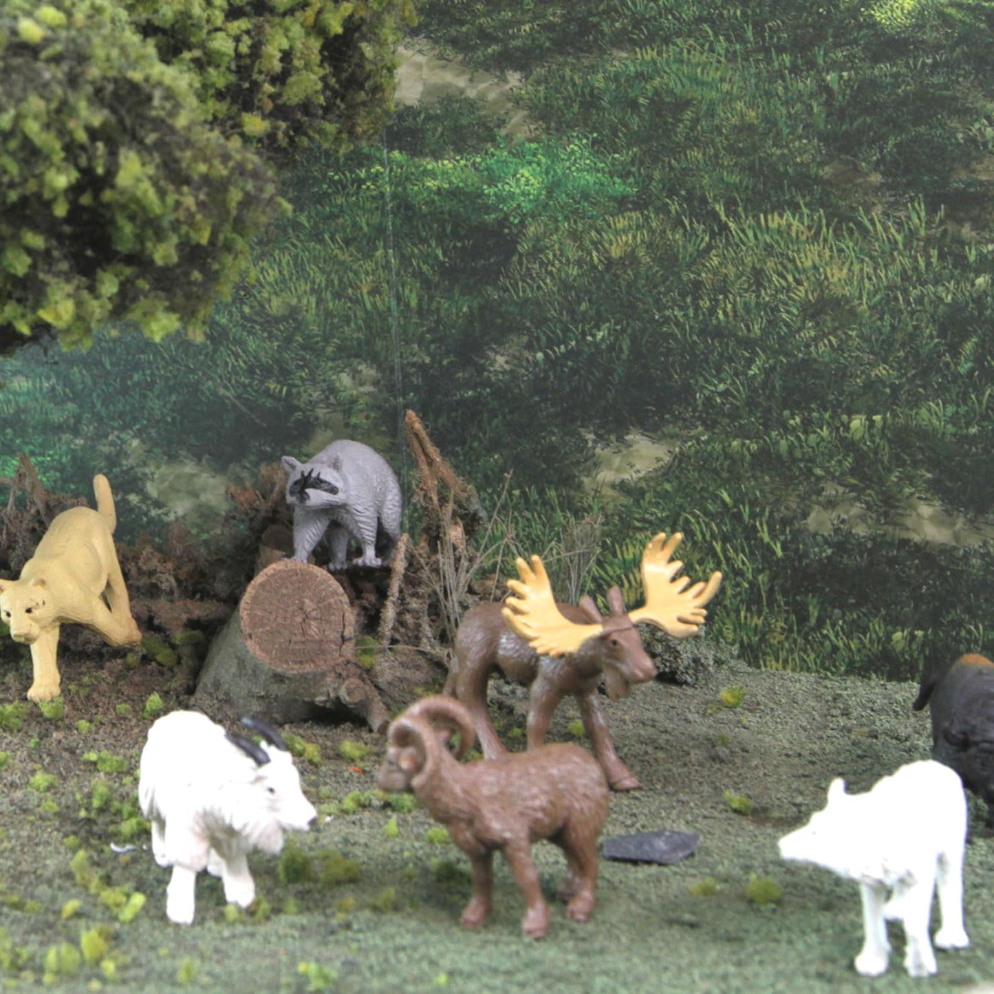 Safari Ltd. North American Wildlife TOOB - 12 Hand-Painted Mini Figurines Including Grizzly Bear, Bison, Moose, & More - Educational Toy Figures