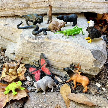 Safari Ltd In The Woods TOOB - Figurines: Elk, Otter, Monarch Butterfly, Black Bear, Snake, Eagle, Beaver, Doe, Grasshopper, Frog, Raccoon, Bison