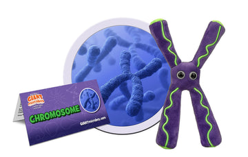 GIANT MICROBES Chromosome Plush, Genetics Gift, DNA Gifts, Genealogy, Ancestry Gift, Biology Plushies, Genetic Counselor, Forensic Science Gifts