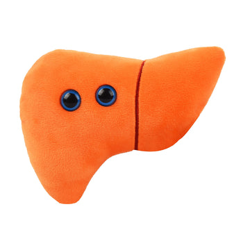 GIANT MICROBES Stuffed Liver Plush, Anatomy Model, Hepatologist Gift, Liver Transplant Gifts, Hepatitis, Hepatology, Cirrhosis Gift, Organ Donor
