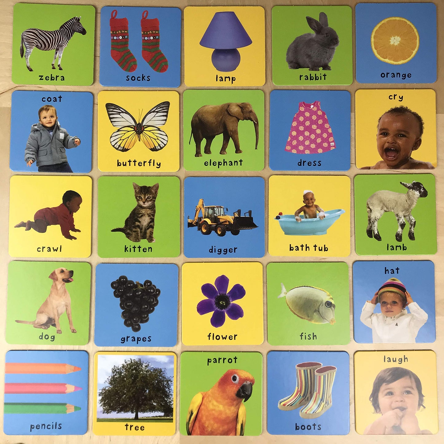 Briarpatch | First 100 Words, Early Learning Game for Toddlers, Ages 2+