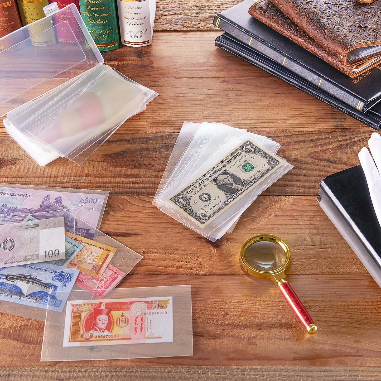 100 PCS Currency Sleeves - Clear Dollar Holder with Storage Box Banknote Protector for Paper Money Bills Stamps Collection Supplies