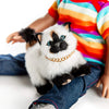 The Queen's Treasures 18 Inch Doll Pets, Siamese Kitty Cat is The Perfect Furry Companion, Doll Toy Compatible with American Girl Dolls