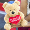 Hollabears 10" is U Jewish? Cuz U Israeli Hot Teddy Bear Hanukkah Plush
