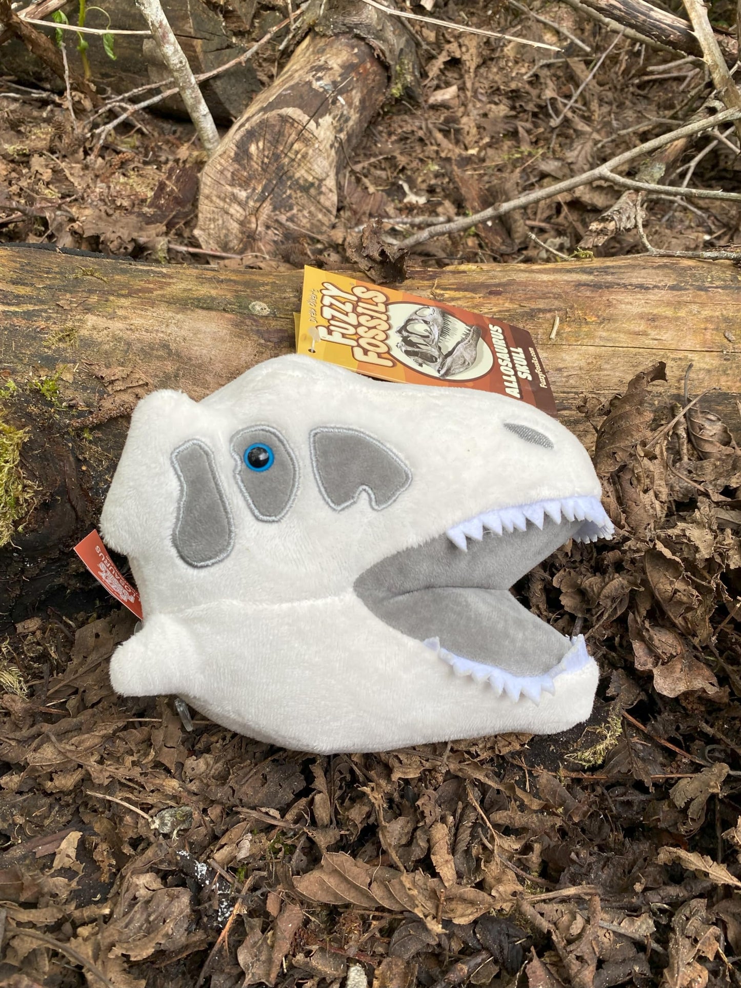 Fuzzy Fossils Allosaurus Plush, Allosaurus Dinosaur, Dinosaur Stuffed Animal, Stuffed Dinosaur Plush, Allosaurus Toy, Dinosaur Toys, Dinosaur Skull