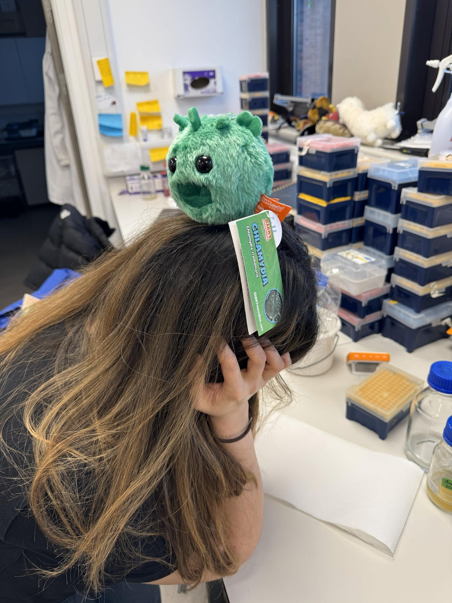 GIANTmicrobes Chlamydia Plush, STIs, STDs, Medical Gag Gifts Funny, OBGYN Gifts for Doctors, Infection Prevention Gifts, Infection Control Nurse Gifts