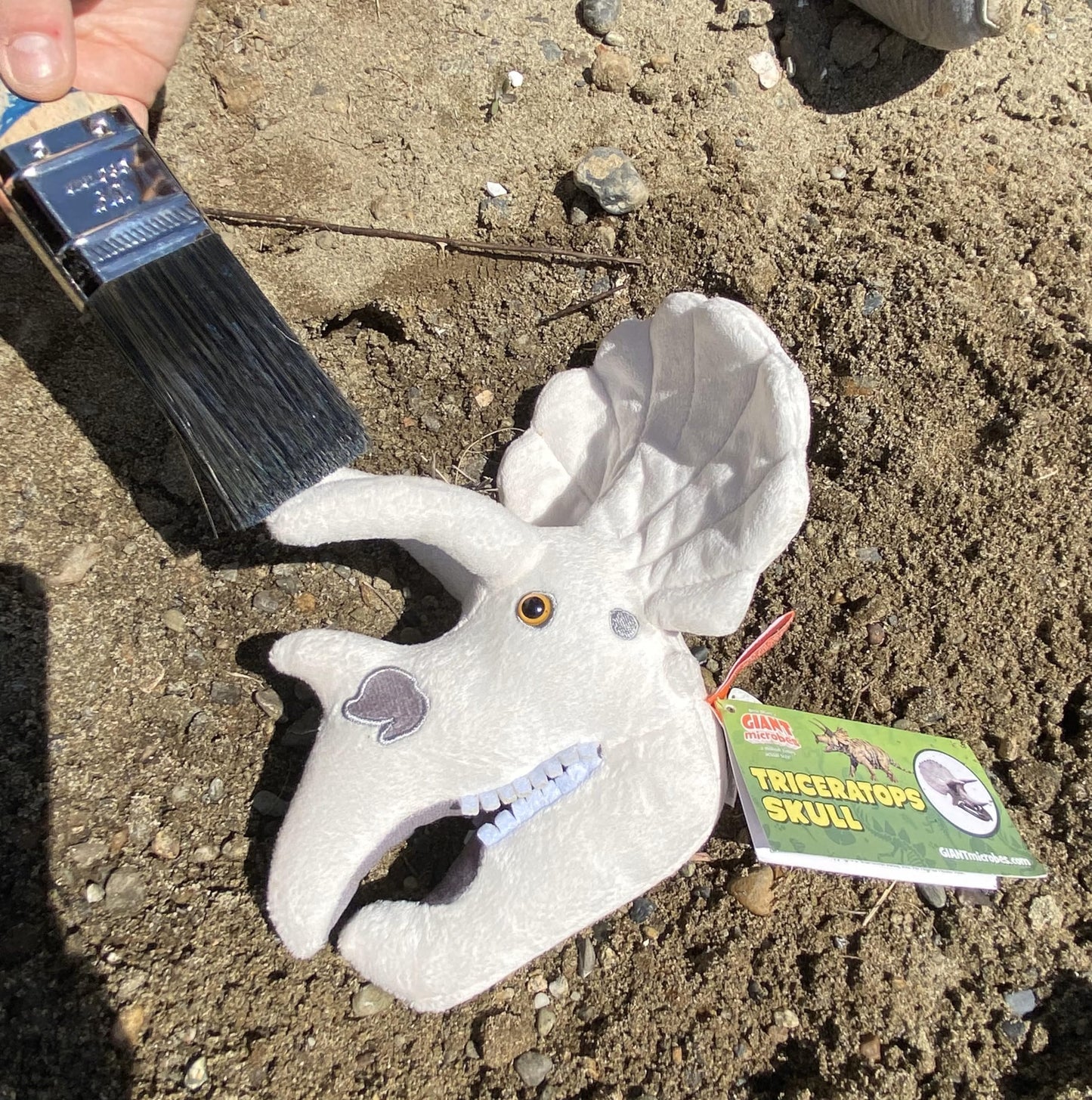 GIANT MICROBES Fuzzy Fossils Triceratops Stuffed Animal, Dinosaur Plush Toy, Triceratops Dinosaur Skull Decor, Paleontologist Gifts