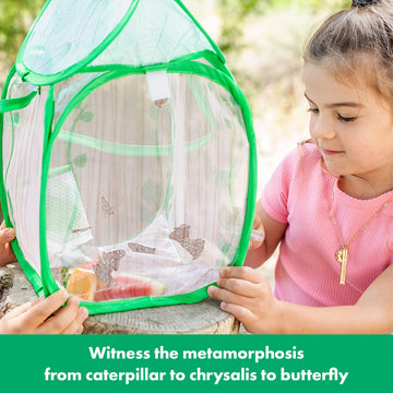 Educational Insights GeoSafari Jr. Butterfly Bungalow, Science Kit with Live Caterpillars, Home & Classroom Insect Habitat, Raise & Release Your Own
