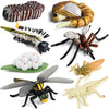Gemini & Genius Life Cycle of Mosquito and Dragonfly Figurines, Insect Growth Diary Action Figures, Super Fun for Learning Gifts, Party Favors
